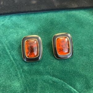 Elegant Amber and Black Earrings